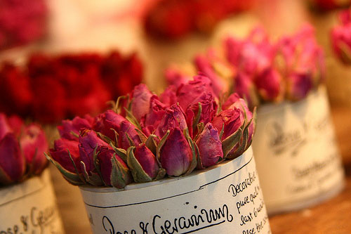 [flower18.jpg]