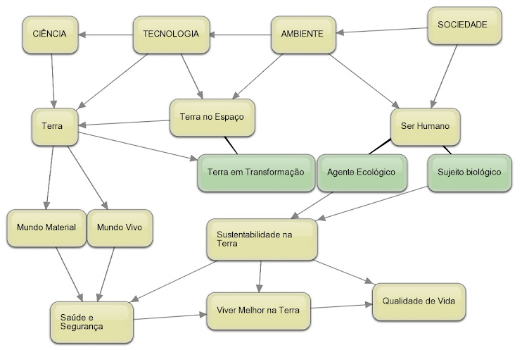 Esquema Organizador dos 4 temas