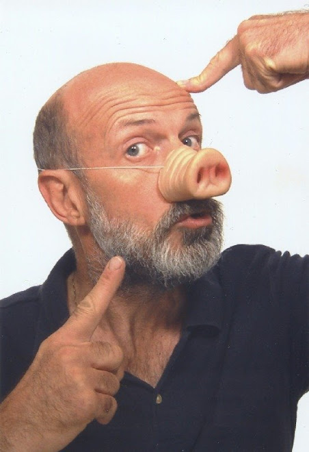 Pig Disguise kits fly of shelves