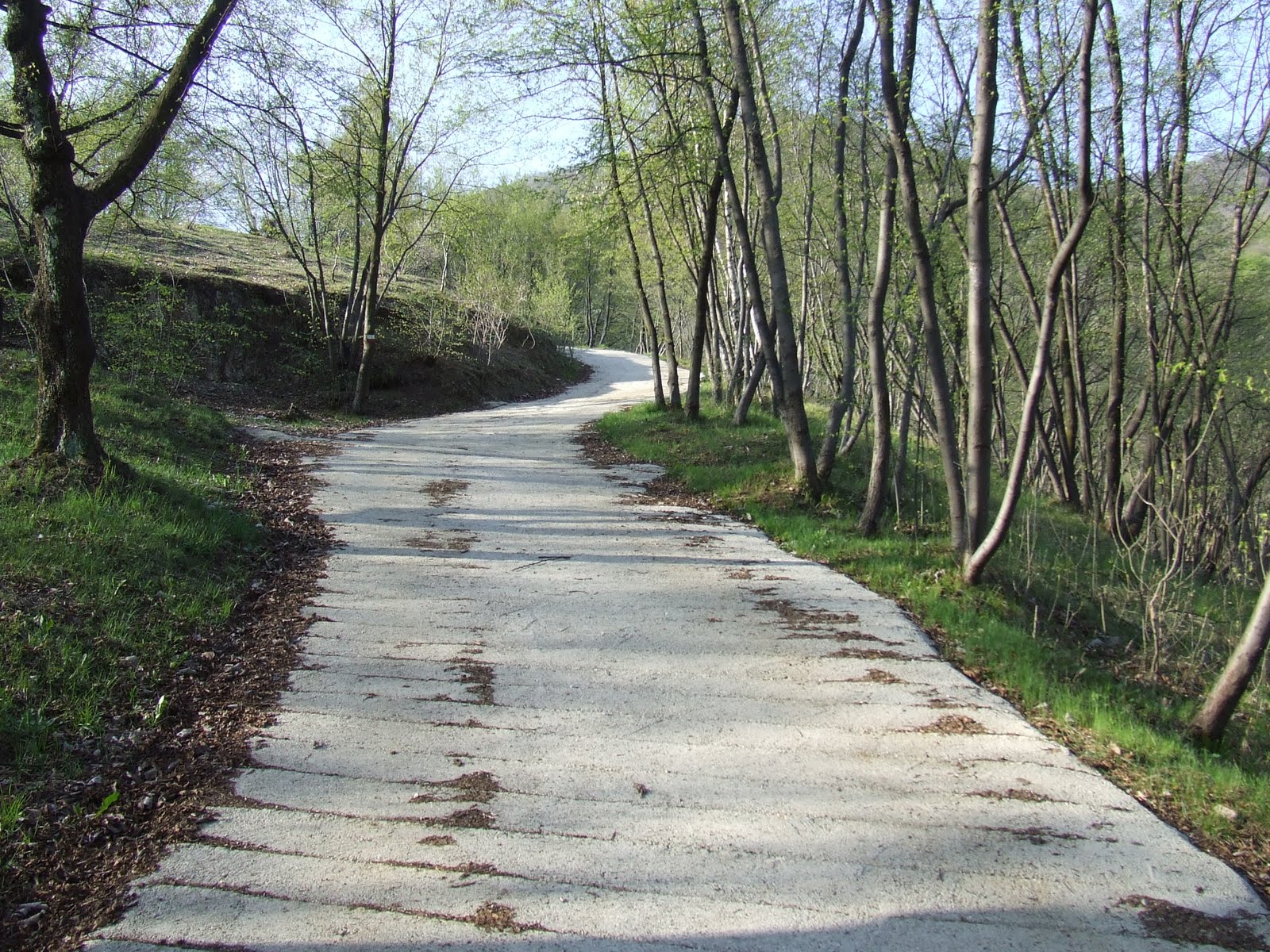 Risultati immagini per strada cementata