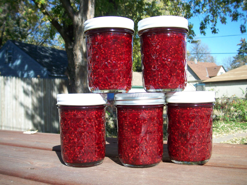 TrinKnitty Raspberry Preserves