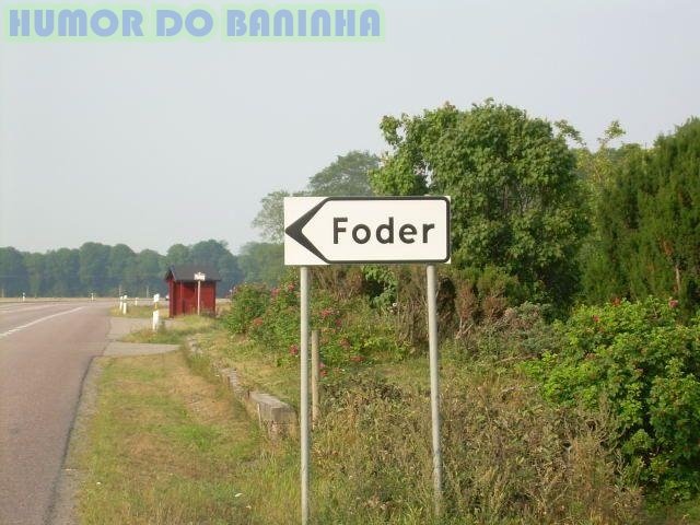 [Foder.jpg]