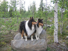 Micke och Sara