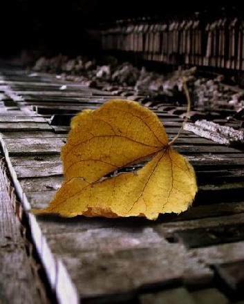 Blog de vivendo : Expressando Emo&ccedil;&otilde;es, Mudan&ccedil;as