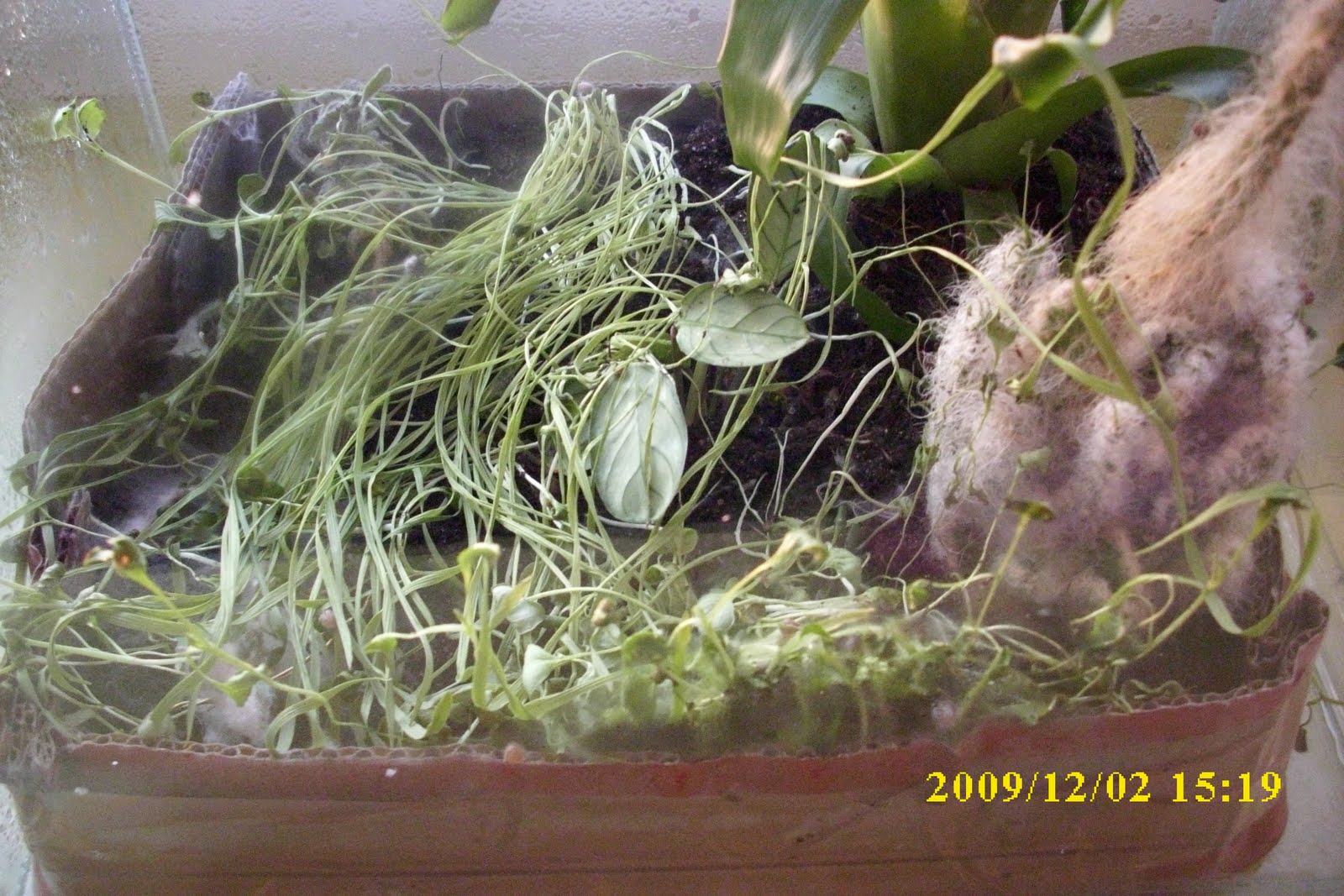 [DSCI0073.JPG]