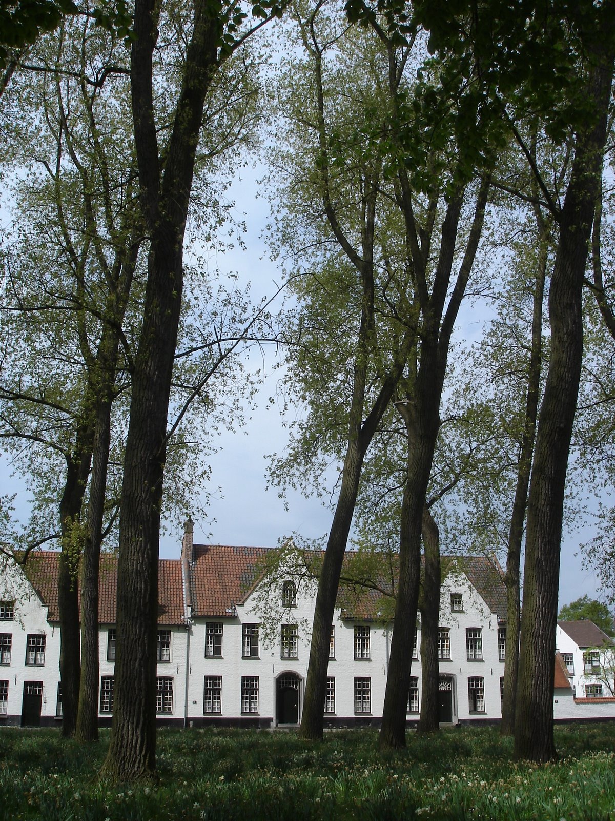 [DSC07842.JPG]