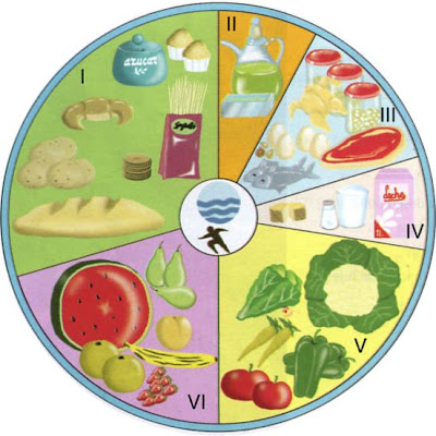 Que Funcion Tiene La Vitamina C En El Organismo Y Que Alimentos La Contienen