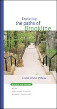 Exploring the Paths of Brookline