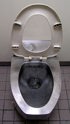 flushing toilet