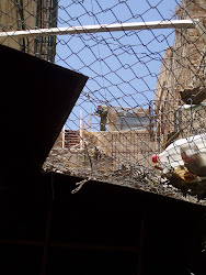 Et hegn i den gamle bydel i Hebron