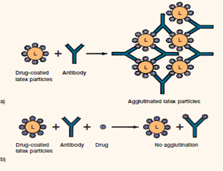 lectin agglutination lectin agglutination
