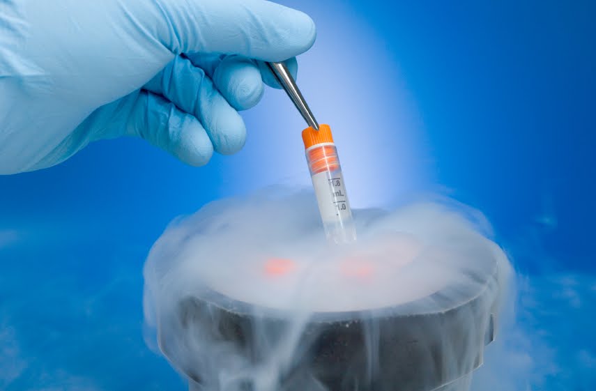 Maintenance and Preservation of Pure Cultures of Bacteria