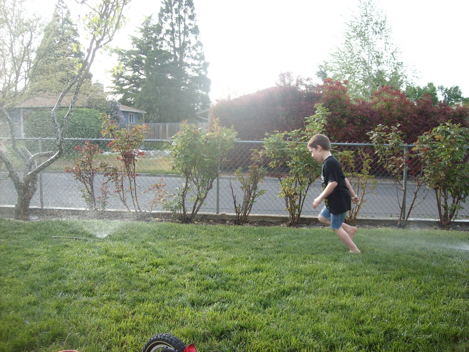 [Spring+08+048.JPG]