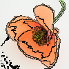 groovyで等高線をつけた画像