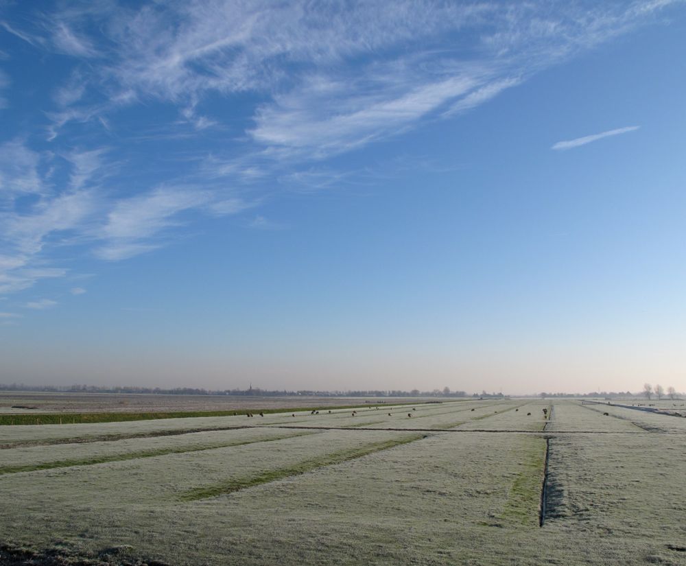 [IMG_1040.jpg]