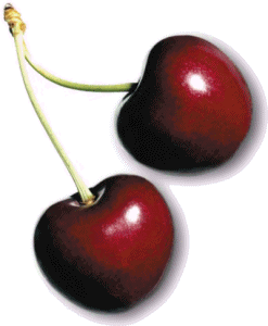 [cherries-761750.gif]