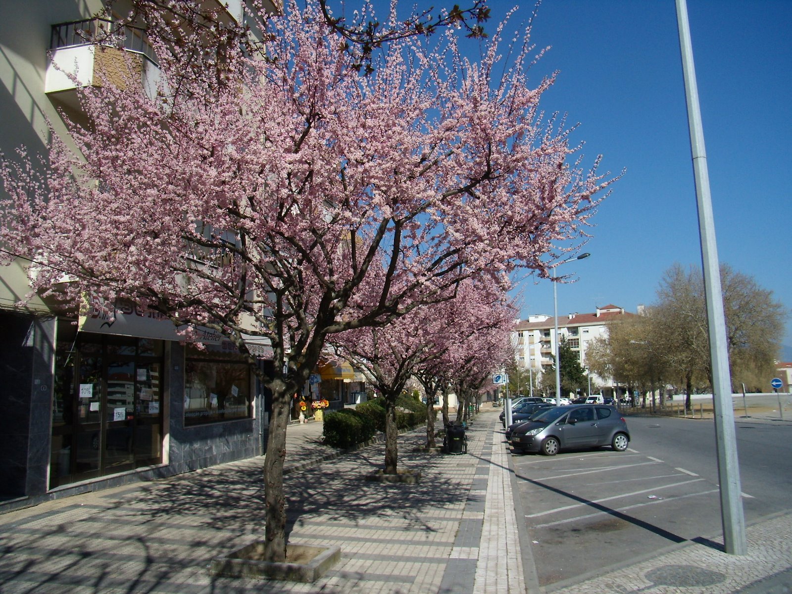 [P2250215.JPG]