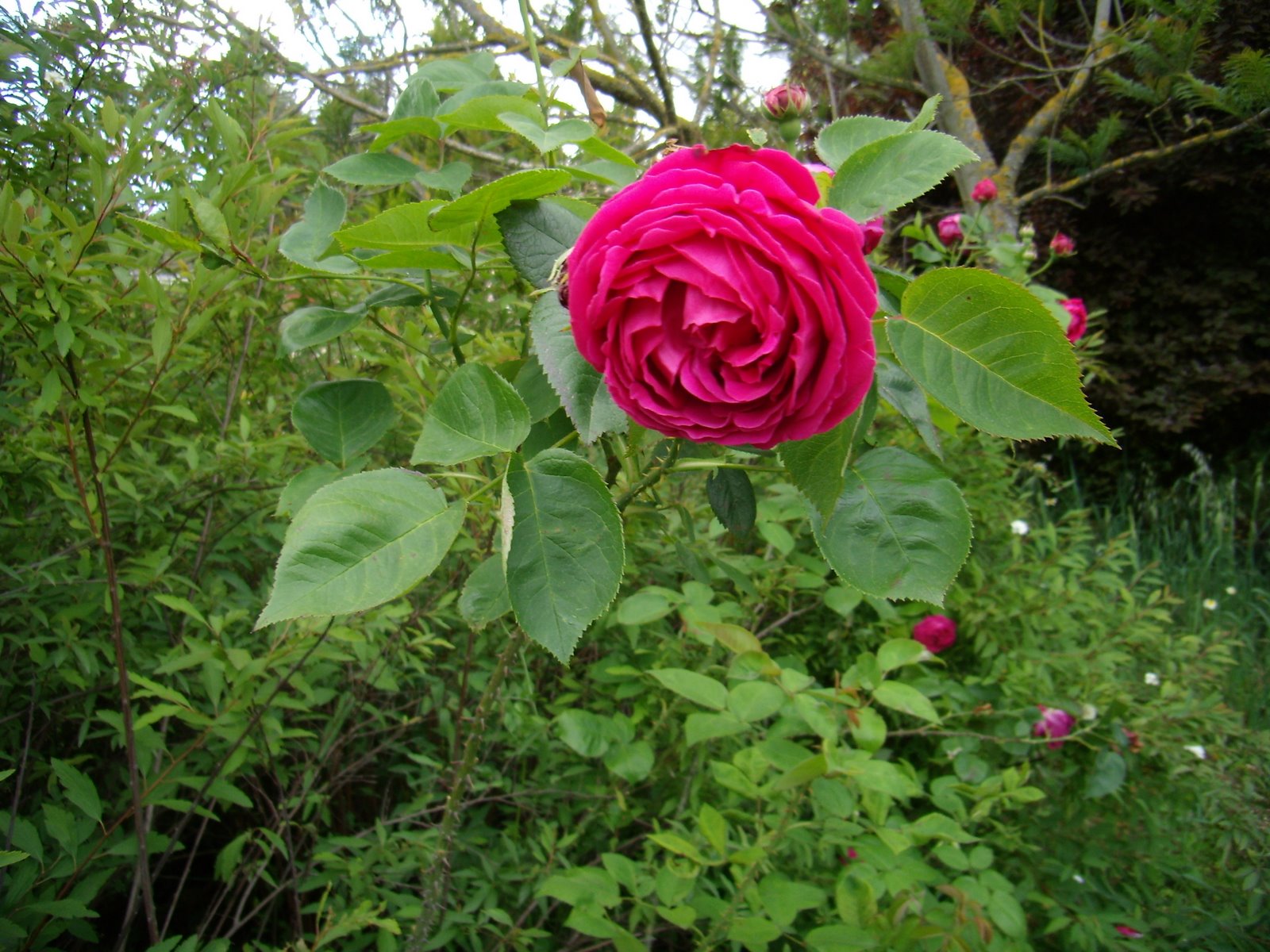 [P4250042.JPG]