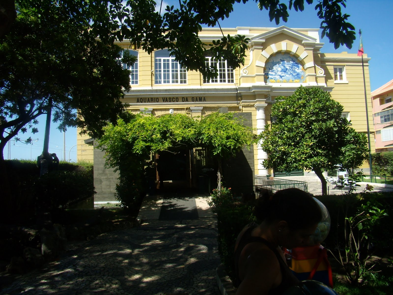 [P8260108.JPG]