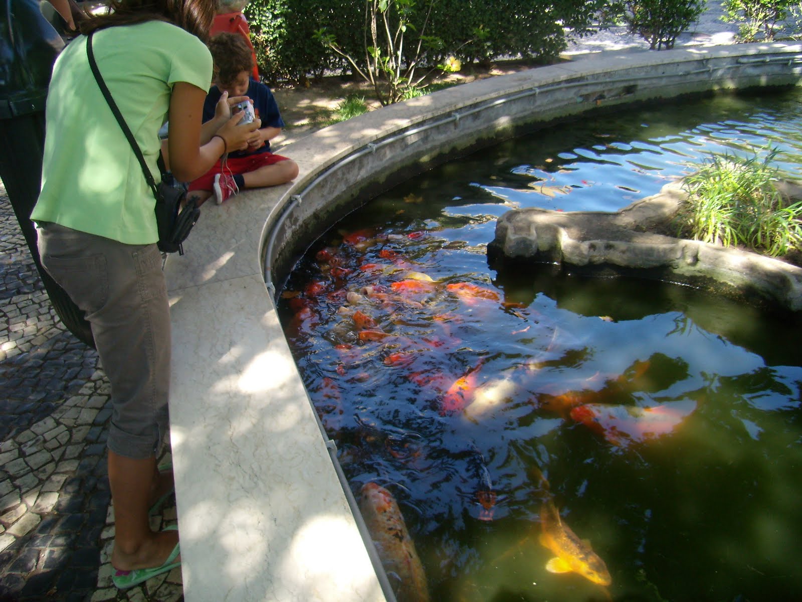 [P8260109.JPG]
