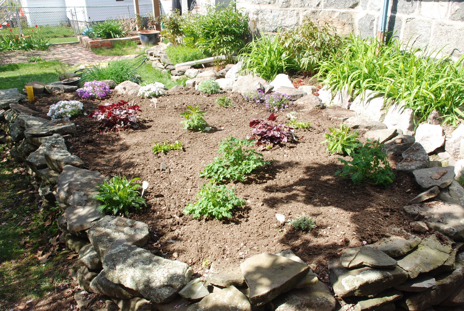 S T I L E T To Changing Hues Of Hydrangea Macrophylla