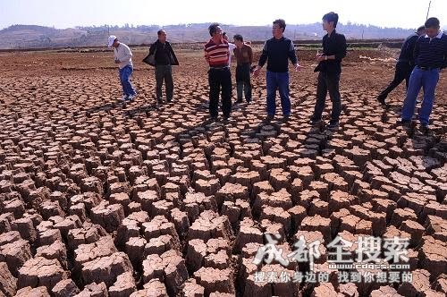 [如此龟裂的土地++一根一根独立的天然泥土柱.php]