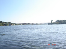 Ponte de Avis