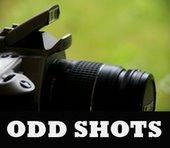 [odd+shots2.JPG]