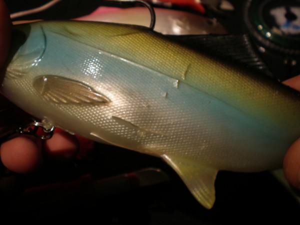 [P1010010+(600+x+450).jpg]