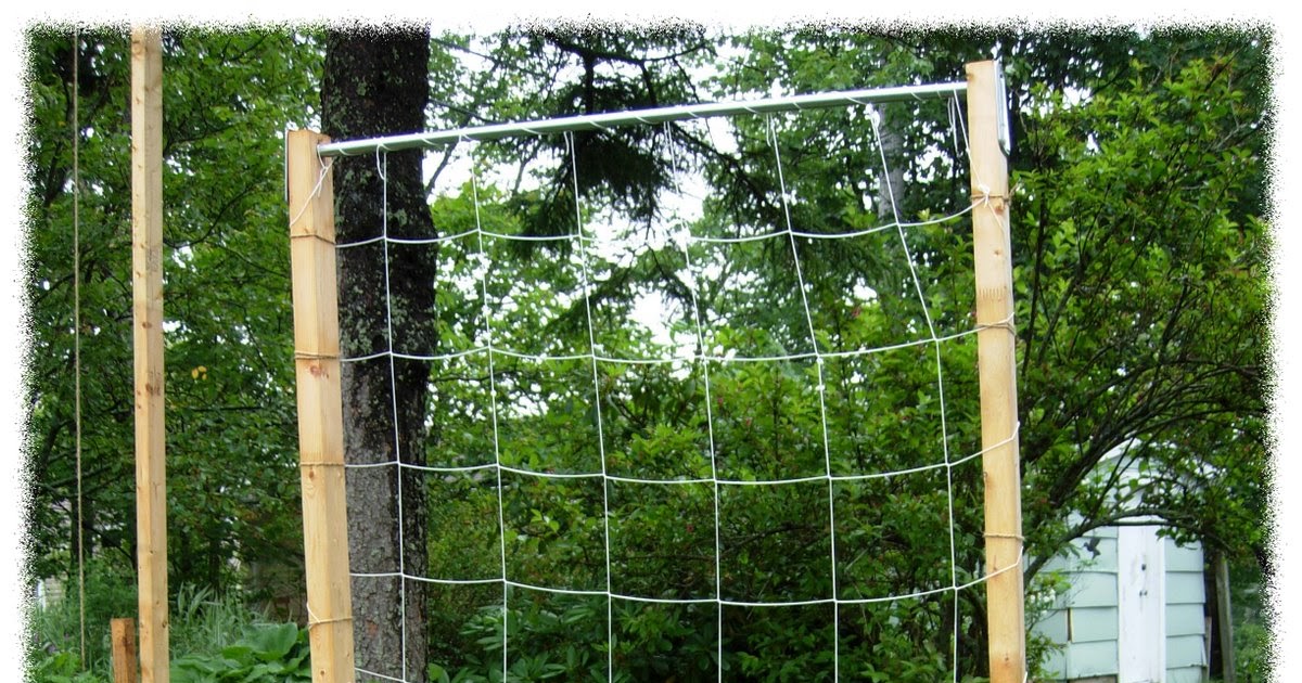 My Kitchen Garden Party: My Square Foot Garden is Growing Up