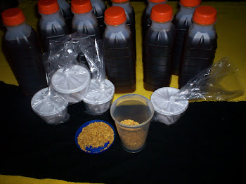 Produtos naturais orgânicos da abelha