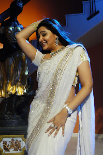 Aarthi Agarwal Hot In White Wet Saree