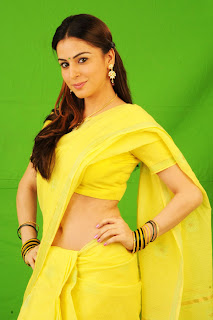 Shraddha Arya Hot In Yellow saree