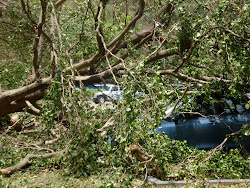 A Car Buried and Destroyed