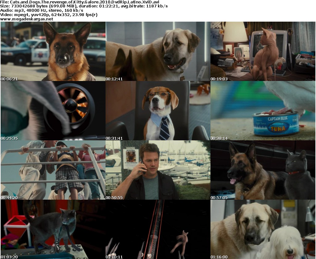 Dvd For Dogs To Watch Uk Dvd For Dogs To Watch Uk