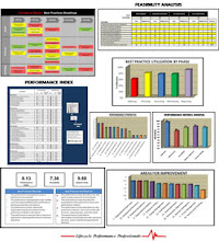 Organizational Performance & Best Practices Analysis