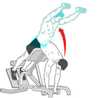 strengthen your back