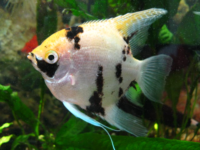 [IMG_0160.JPG]