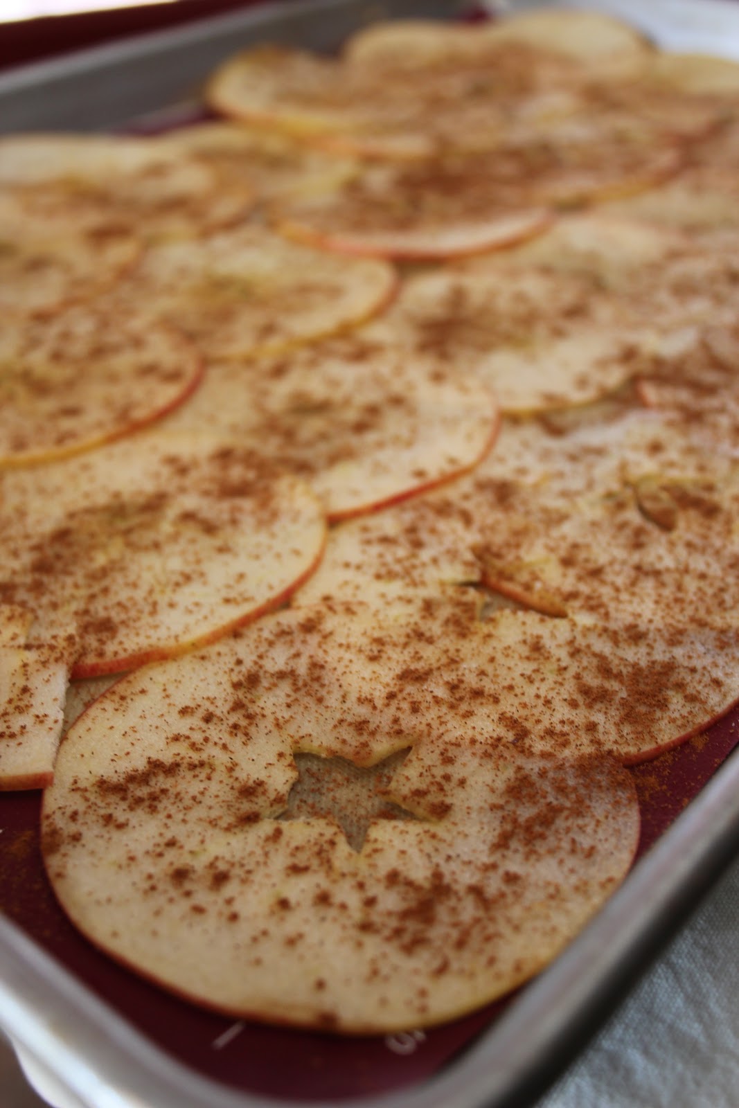 Love At First Bite....Eating for a healthier life BakeDried Apple Chips