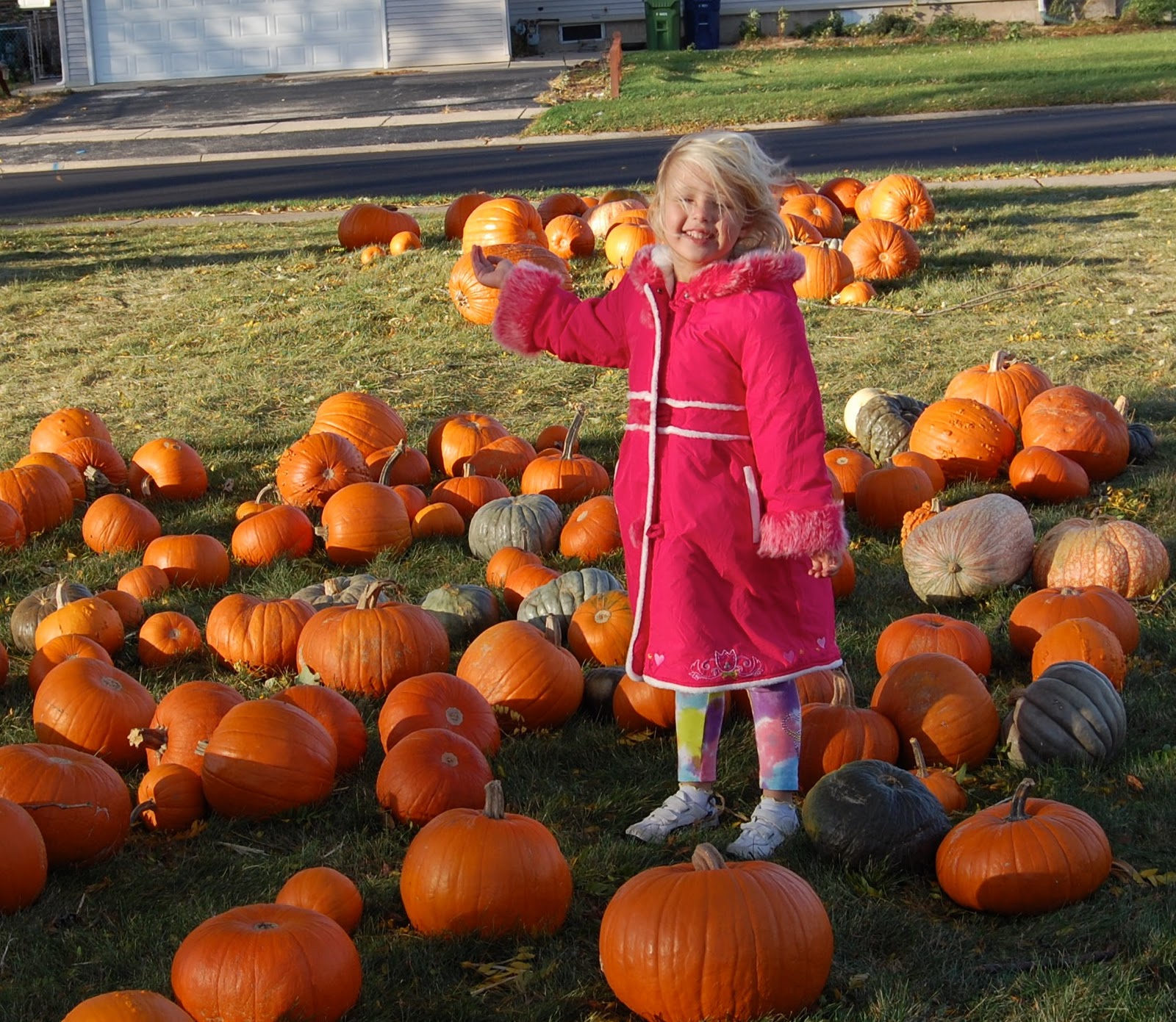 Pumpkin Patch: Not Really.