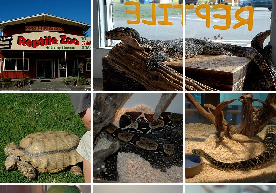 Show Us The World SerpentariumThe Reptile Zoo and Living Museum