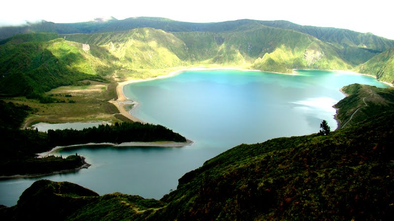 [DSC05520a.jpg]