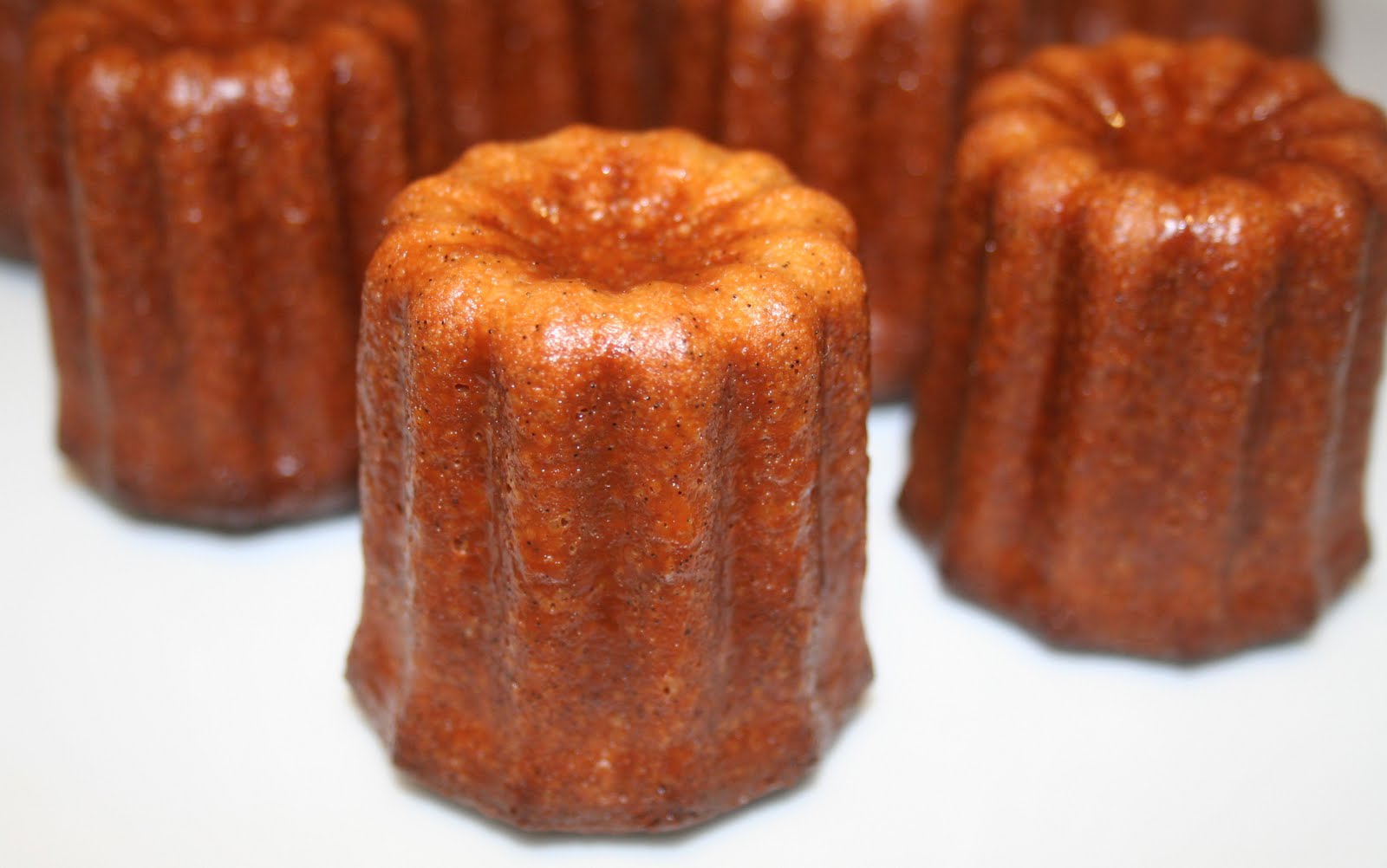 [malakoff+crÃƒÆ’Ã‚Â¨me+brÃƒÆ’Ã‚Â»lÃƒÆ’Ã‚Â©e+113.jpg]