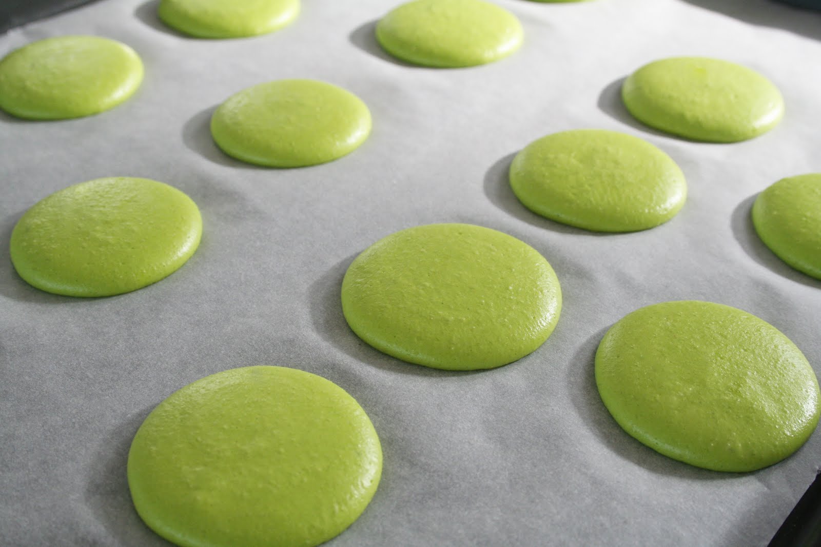 [portsallfÃƒÂ©vrier2010+218.jpg]