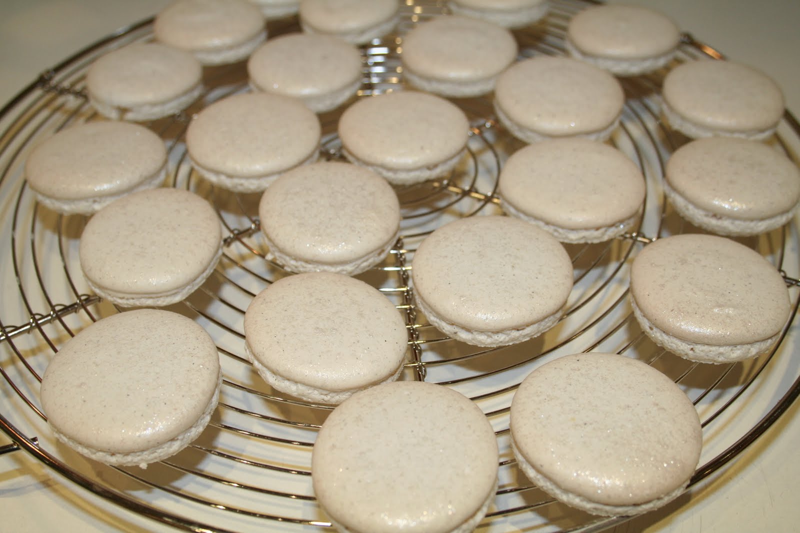 [juin+juillet+aoÃƒÂ»t+2009+153.jpg]