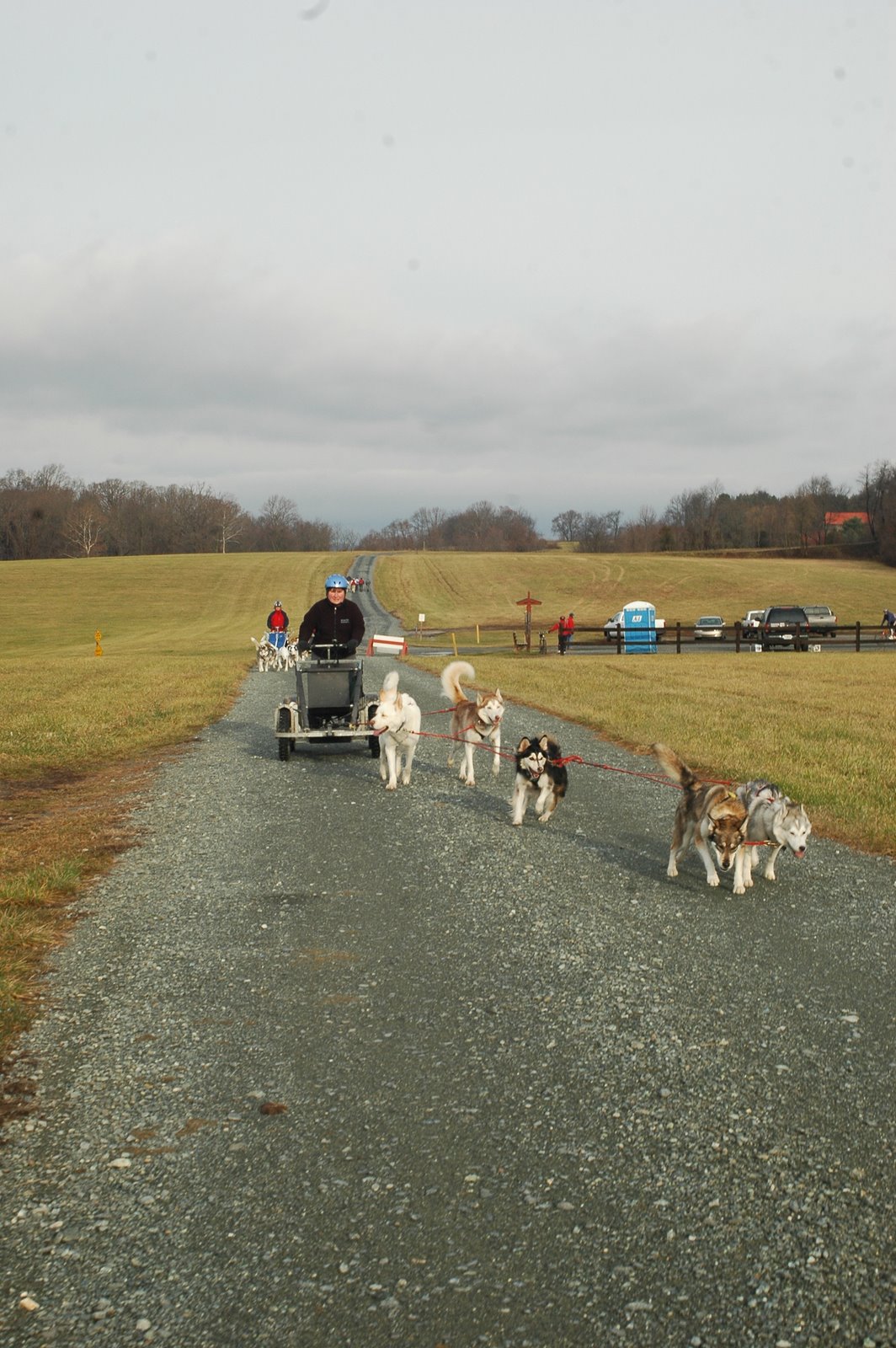[DSC_3563.JPG]
