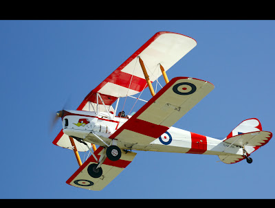 DeHavillandTigerMothSSM.jpg