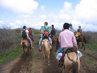 Isabela Island Galapagos Islands