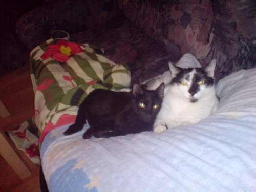 [d695819428c10bf8med.jpg]