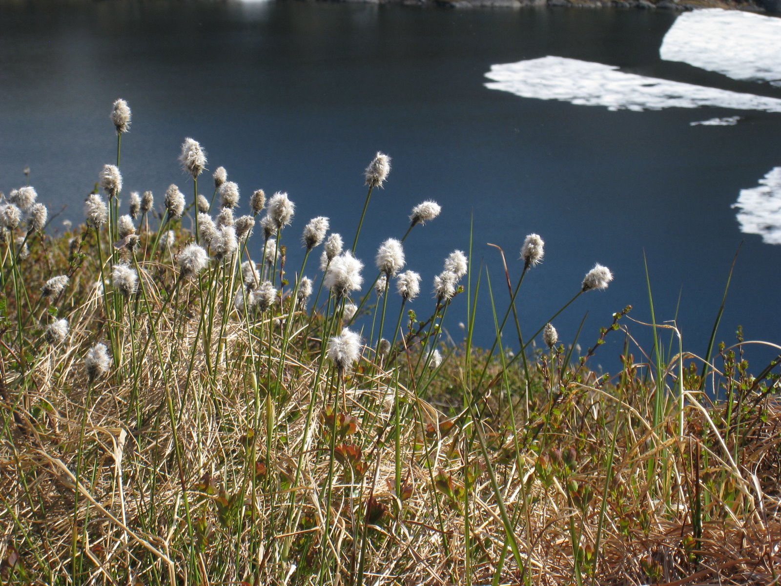 [IMG_7693.JPG]
